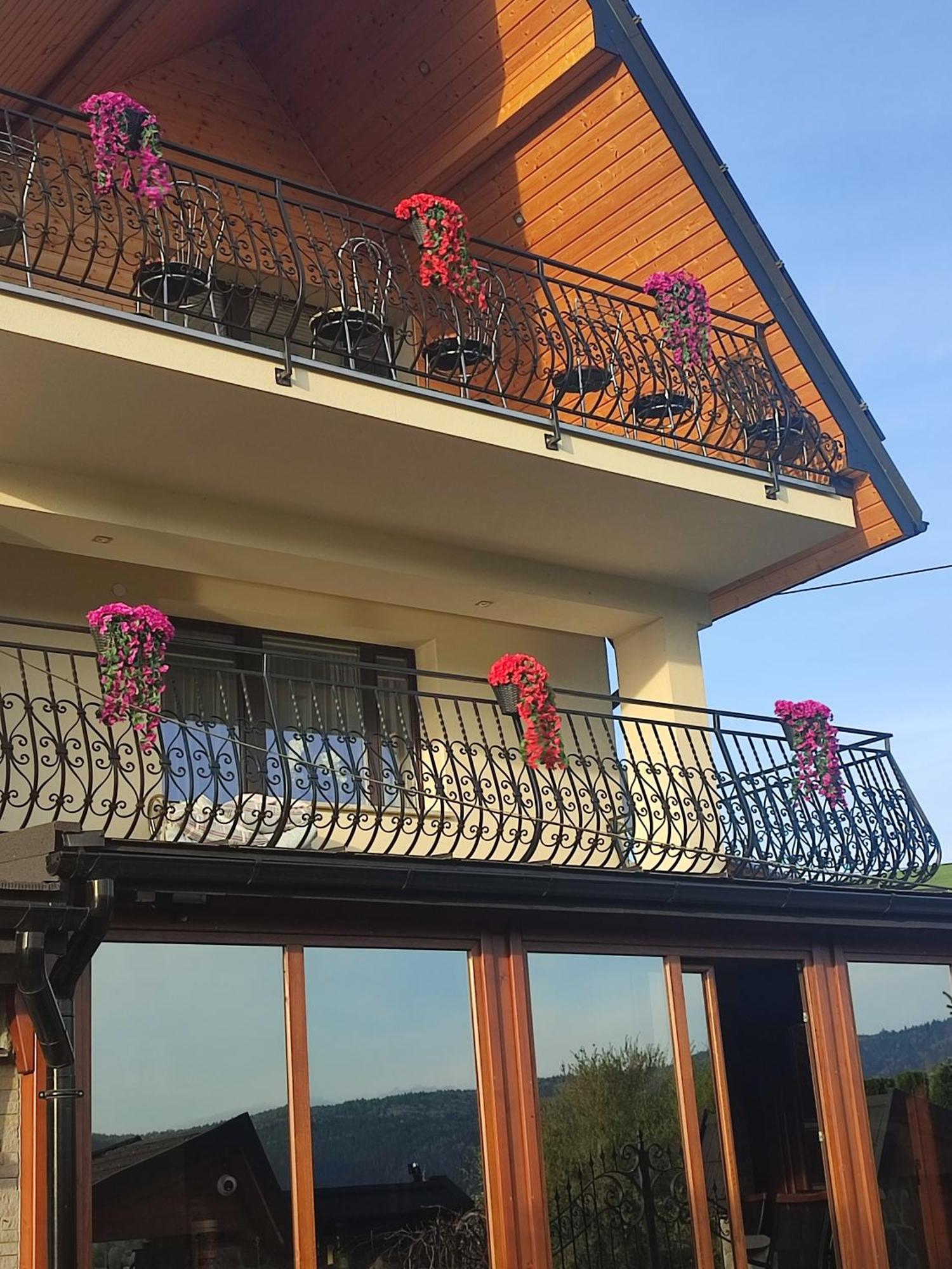 Apartament Na Wzgorzu Muszyna Ngoại thất bức ảnh